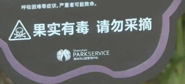 大片连根铲除！深圳一公园“火速响应”引质疑<strong></p>
<p>体验金理财</strong>，网友为它喊冤
