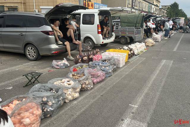 实探衡水盗版LABUBU大集：像卖菜一样摆摊卖<strong></p>
<p>高利息理财</strong>，商家称如今订单变少生意难做