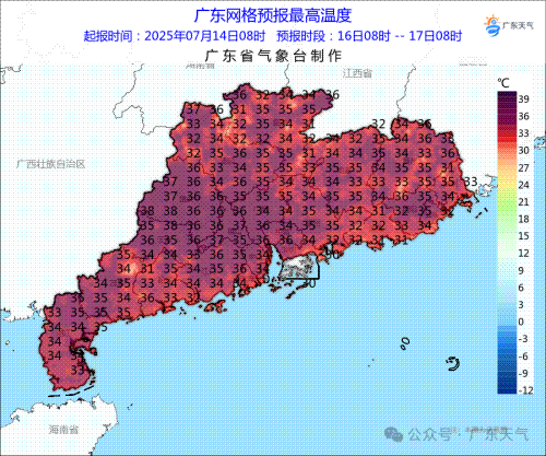 6号台风或将在广东登陆<strong></p>
<p>理财新浪</strong>，本周将有大暴雨