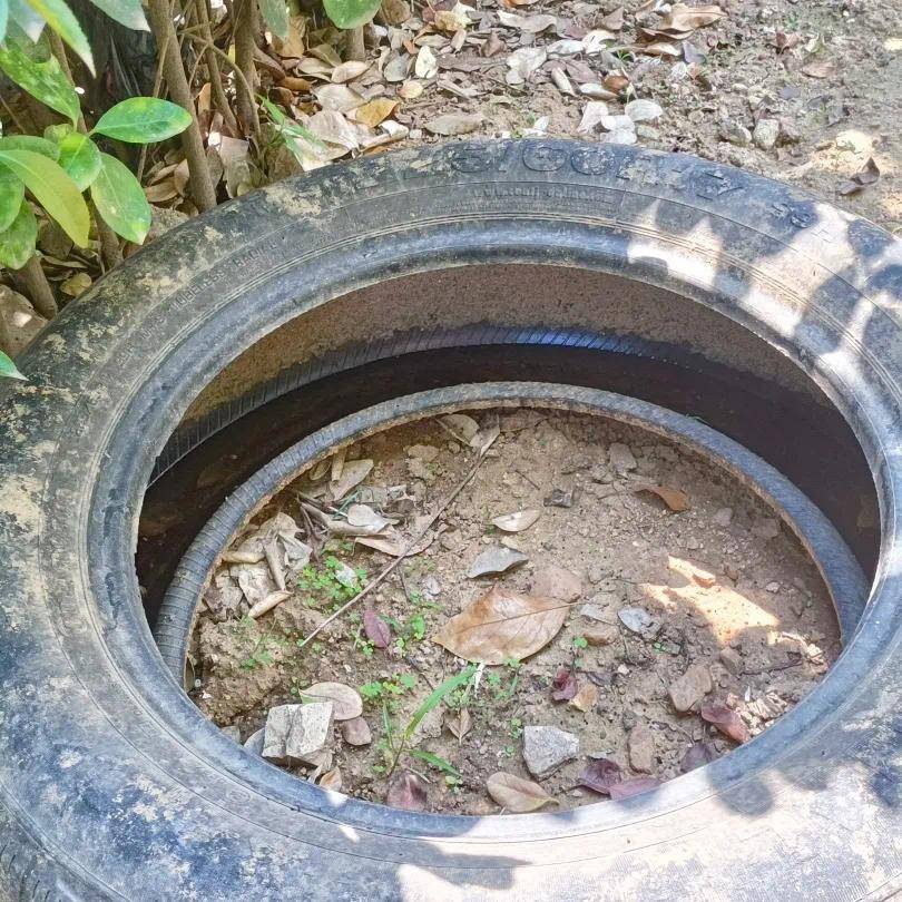 青岛疾控最新提醒：全民行动<strong></p>
<p>江西银行理财</strong>！翻盆倒罐、清除积水！