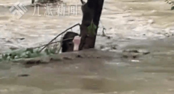 强降雨致河北一露营地突发山洪<strong></p>
<p>泉州理财</strong>，多人被困，亲历者：大家抱着一棵树坚持了7个小时