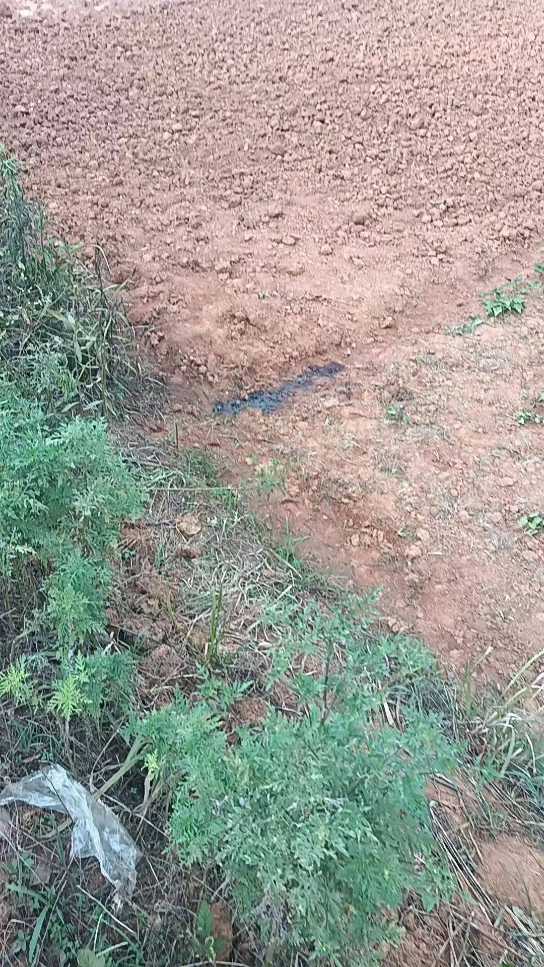 工人被误当猎物枪击身亡<strong></p>
<p>蓝鲸理财课</strong>，警方通报：屈某某、罗某某被刑拘