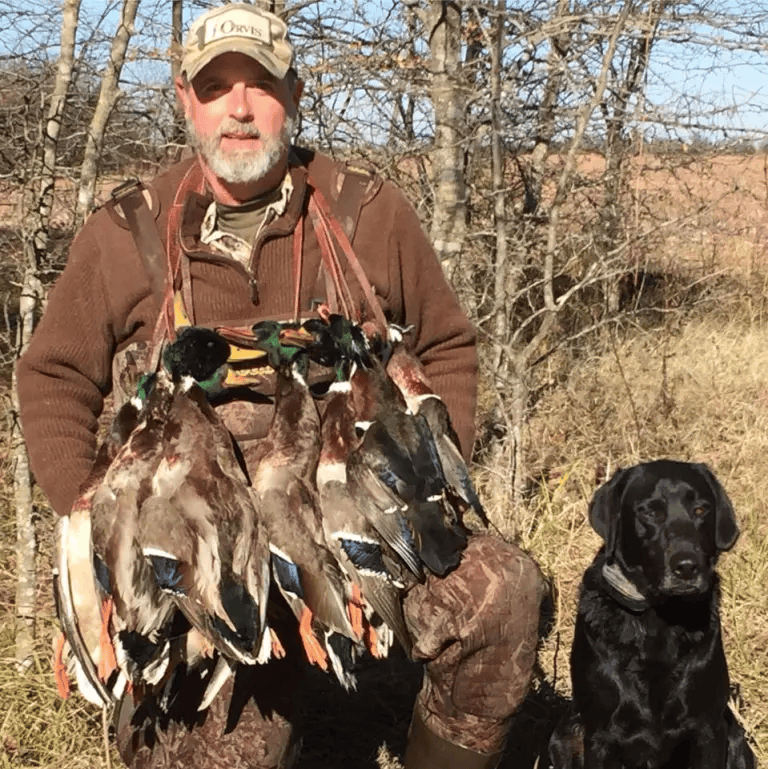 美国百万富翁在南非参加高端付费狩猎活动<strong></p>
<p>蓝鲸理财课</strong>,被水牛顶死