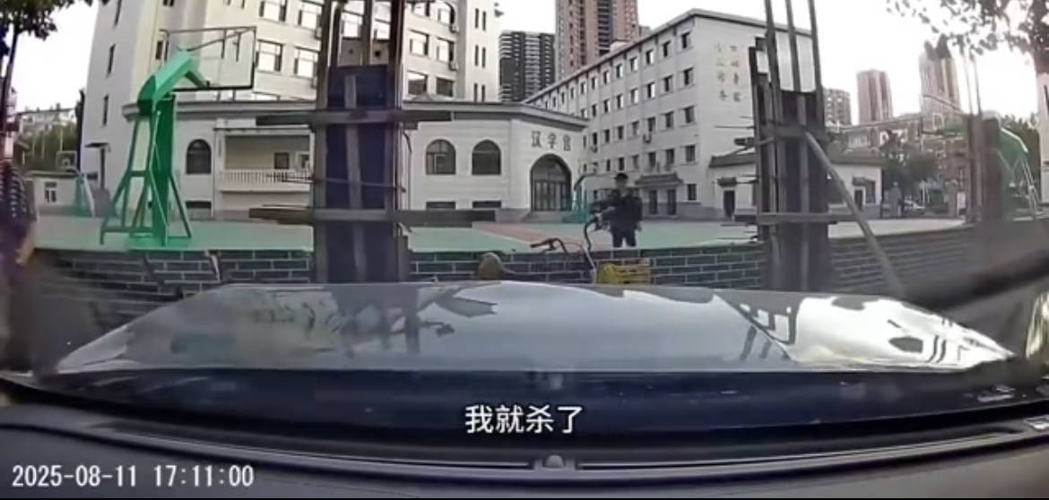 沈阳19岁男子因抢行纠纷开车撞人被刑拘！律师：综合实际情况<strong></p>
<p>理财低风险</strong>，更符合故意伤害特征