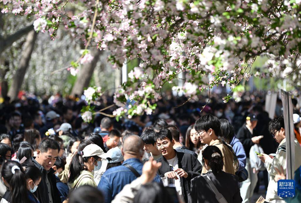 不少大学校园成“打卡地”<strong></p>
<p>p2p理财安全吗</strong>，高校如何界定“开放度”？