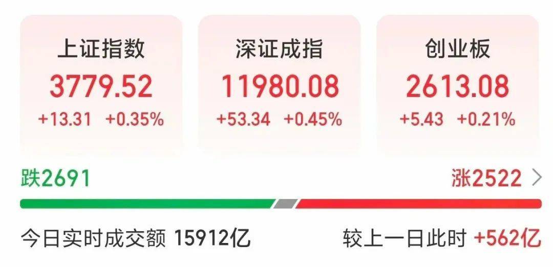 000063<strong></p>
<p>理财稳健</strong>，大涨！成交额A股第一