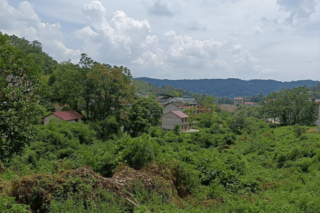 一个正厅一个副处<strong></p>
<p>理财稳健</strong>，两名“蔡光辉”落马竟是亲兄弟，父亲称长子曾改名|红星调查