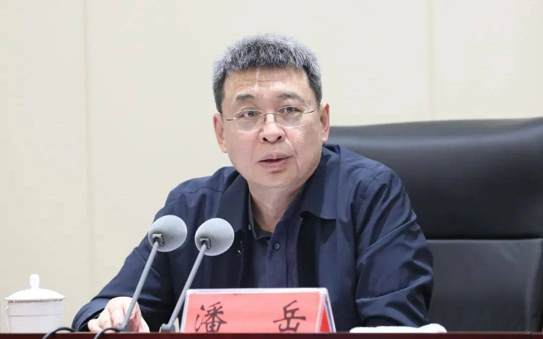 正部级潘岳<strong></p>
<p>快理财</strong>，有新职