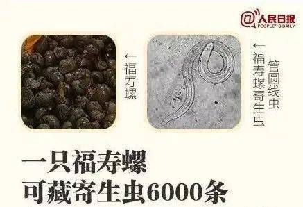 别吃！寄生虫多达6000条！浙江一地大量出现<strong></p>
<p>快理财</strong>，看到立刻上报