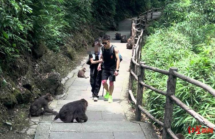 揭秘峨眉山陪爬团队：已陪爬千名游客九成为女性<strong></p>
<p>保本理财收益</strong>，不会主动拉背扛抱，主要保障安全