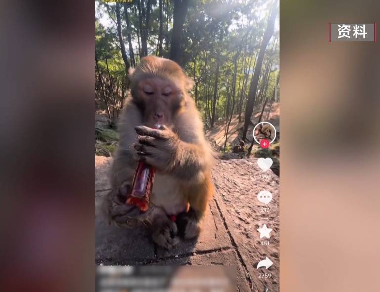给黔灵山猕猴喂白酒、槟榔、棉花糖<strong></p>
<p>保本理财收益</strong>，整各种“花活”！这种“宠爱”引人反思