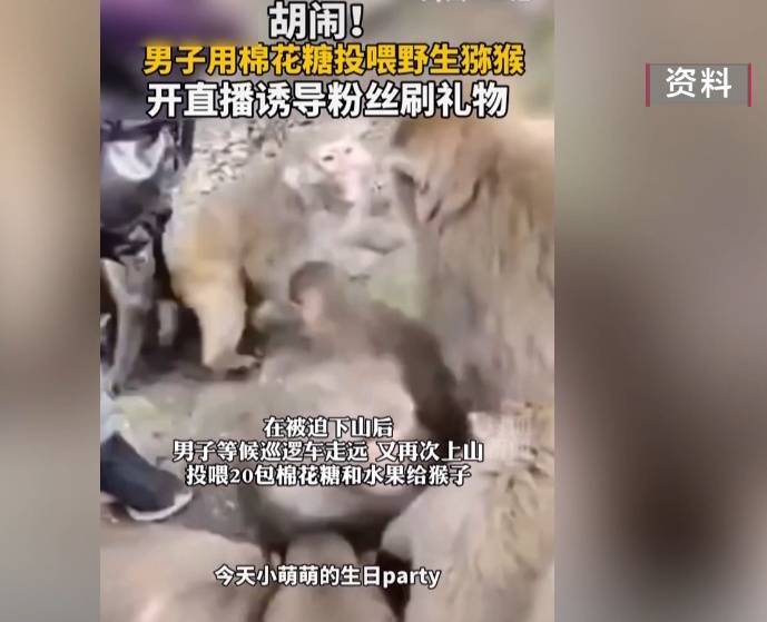 给黔灵山猕猴喂白酒、槟榔、棉花糖<strong></p>
<p>保本理财收益</strong>，整各种“花活”！这种“宠爱”引人反思