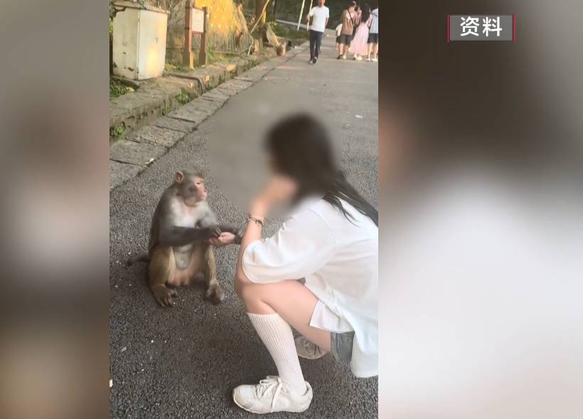 给黔灵山猕猴喂白酒、槟榔、棉花糖<strong></p>
<p>保本理财收益</strong>，整各种“花活”！这种“宠爱”引人反思