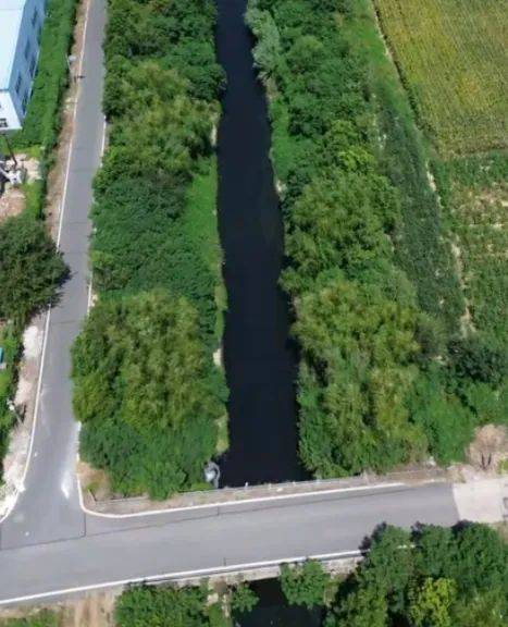 去年整改过的“黑水河”<strong></p>
<p>微众银行理财</strong>，今年怎么又黑了？ | 新京报快评
