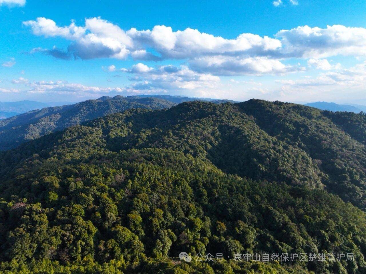云南哀牢山新规出台：禁止任何单位和个人擅入哀牢山自然保护区<strong></p>
<p>万家理财</strong>，从事科研活动须报批