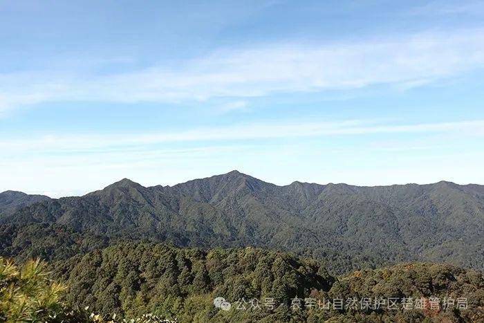 云南哀牢山新规出台：禁止任何单位和个人擅入哀牢山自然保护区<strong></p>
<p>万家理财</strong>，从事科研活动须报批