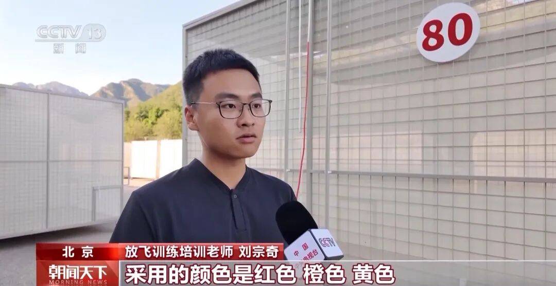 明天将放飞8万羽和平鸽、8万只气球<strong></p>
<p>万家理财</strong>，揭秘！