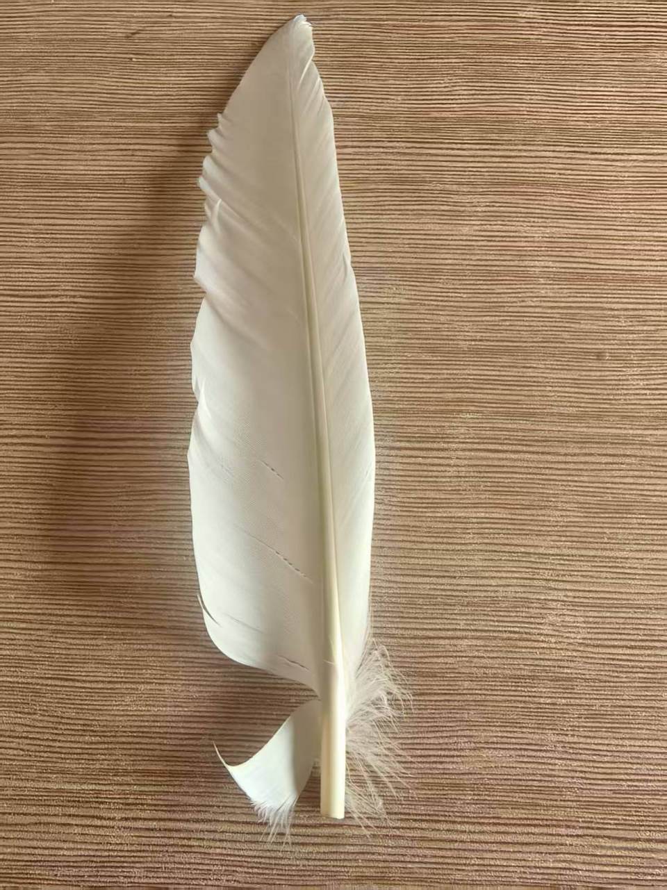 羽毛球又又又涨价<strong></p>
<p>万家理财</strong>，球友破防：月花三千扛不住，打球人的天塌了