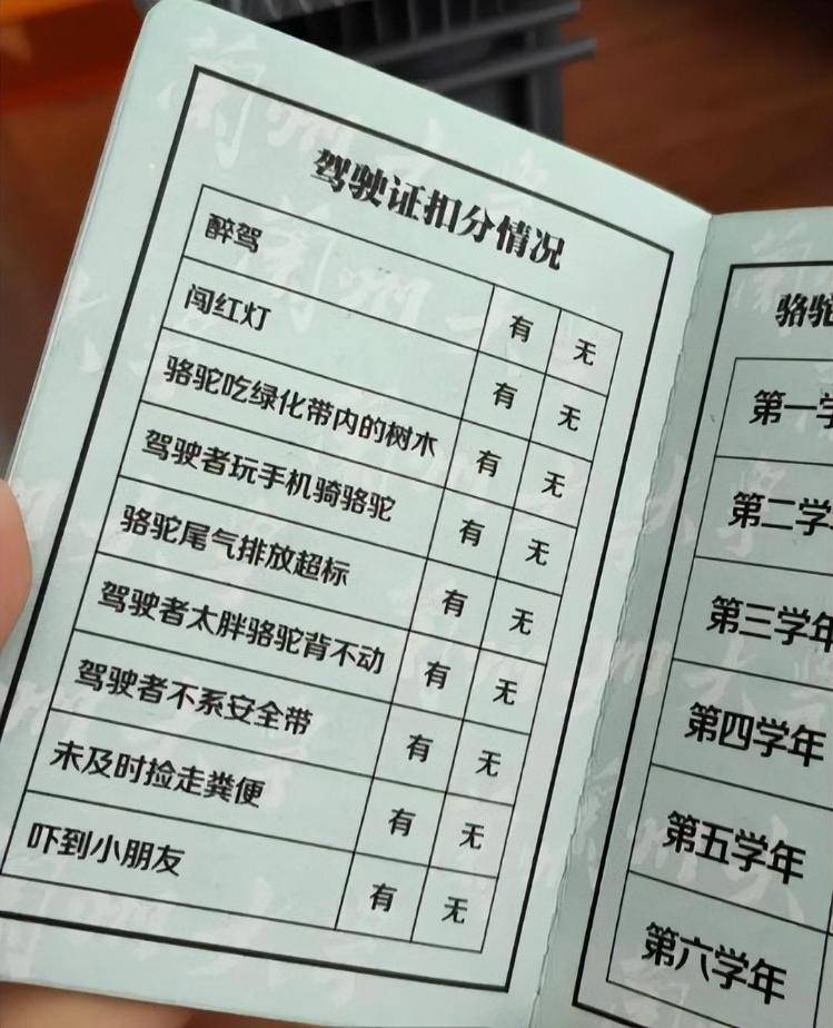 一人一驼<strong></p>
<p>万家理财</strong>，骆驼尾气排放超标要扣分？兰大回应学生持证骑骆驼上学：骆驼驾驶证为学校文创，非官方证件