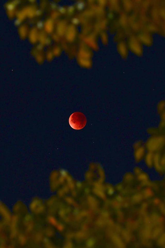 刷屏朋友圈<strong></p>
<p>零钱包理财</strong>!“红月亮”高清大图来了