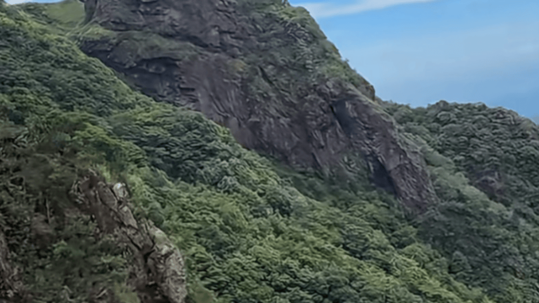 失联5天<strong></p>
<p>理财投资排行榜</strong>,遗体被找到!深圳警方初步排除刑事案件