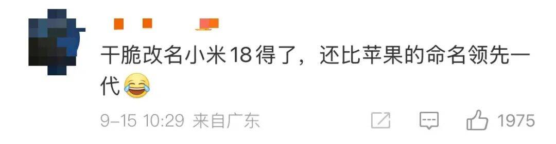 雷军:全面对标iPhone<strong></p>
<p>理财投资排行榜</strong>,正面迎战!小米宣布跳过16系列,直接发布17