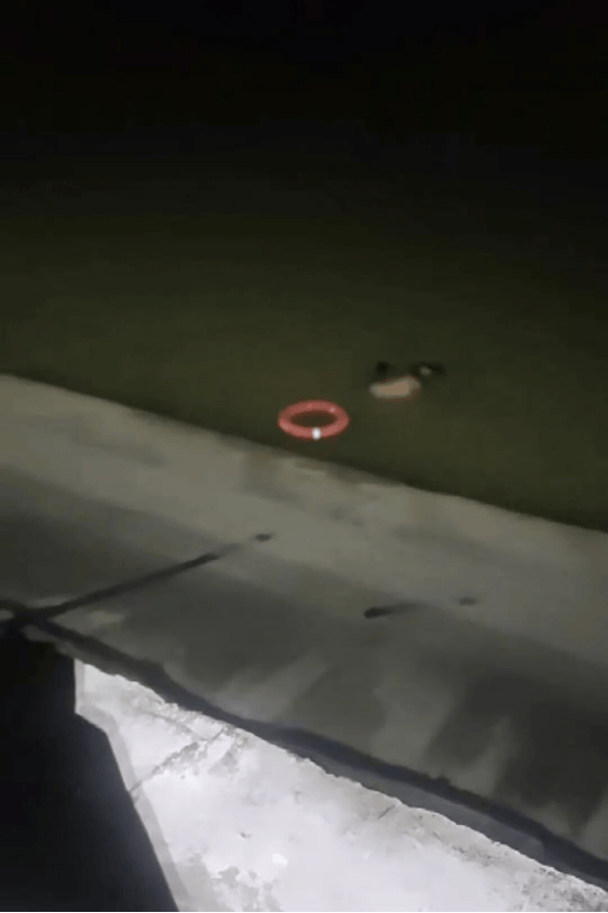 东莞一女子凌晨沉入漆黑水库<strong></p>
<p>成都理财</strong>,民警第二跳让人揪心……