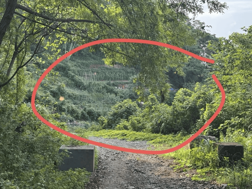 杭州女子误踩“化骨水”身亡<strong></p>
<p>理财软件排行</strong>,当地:已锁定化学品所有者,发现三桶,一桶完整,两桶残余