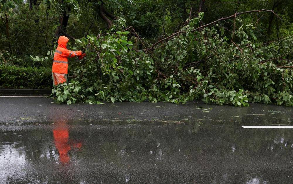 谁给“风王”踩了“刹车”<strong></p>
<p>菠菜理财</strong>,打了“转向”,又是咋知道的?