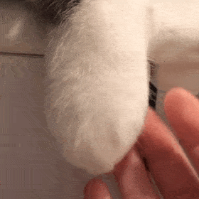 1227个城镇老旧小区<strong></p>
<p>菠菜理财</strong>,全部开工!