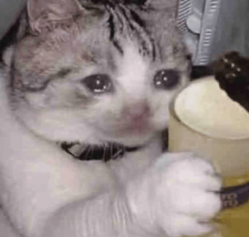 “不亚于春节回家”!凌晨5点<strong></p>
<p>凤凰金融理财</strong>,深圳有人已经堵在路上……