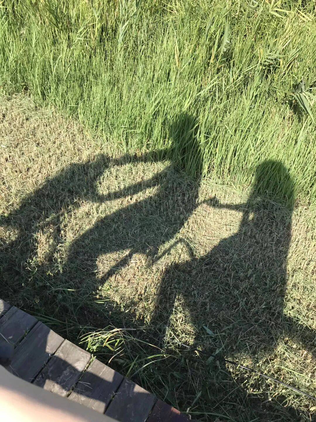 纸质火车票退场<strong></p>
<p>凤凰金融理财</strong>,每道折痕里都藏着远方、爱情与山河记忆