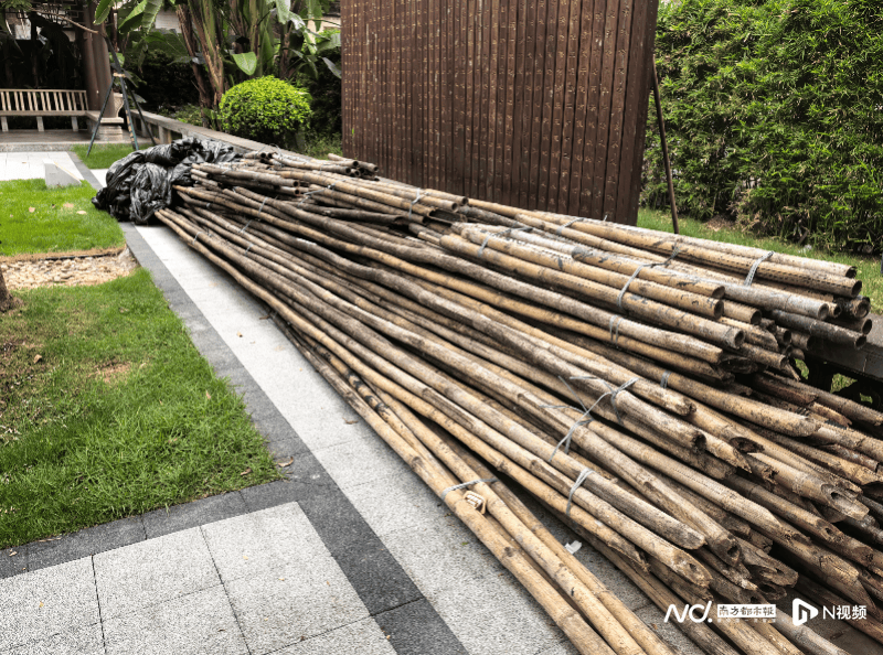 暗访回头看:广州口袋公园乱象整改成效如何<strong></p>
<p>凤凰金融理财</strong>?记者再探