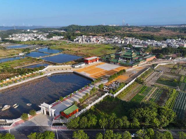 这个经济大省<strong></p>
<p>凤凰金融理财</strong>,为何多地镇街撤并?