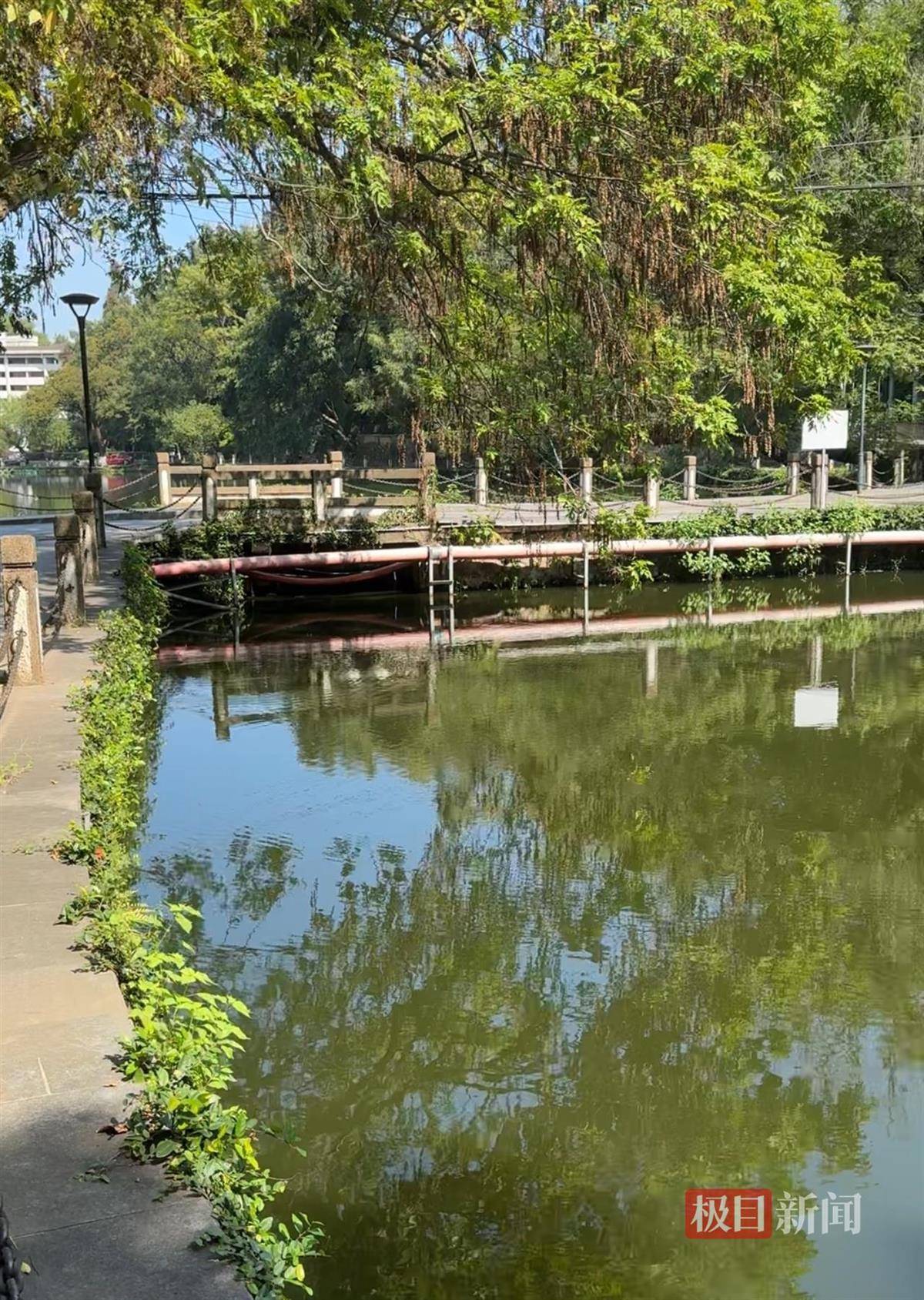 对话鸡排哥李俊永:爆火后每天一二十个镜头对着我<strong></p>
<p>凤凰金融理财</strong>,未来不考虑直播带货,更愿意和顾客待在一起