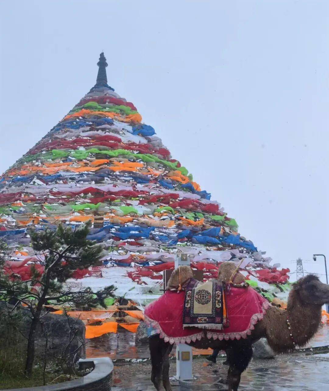 多地突降大雪<strong></p>
<p>赚吧理财</strong>!