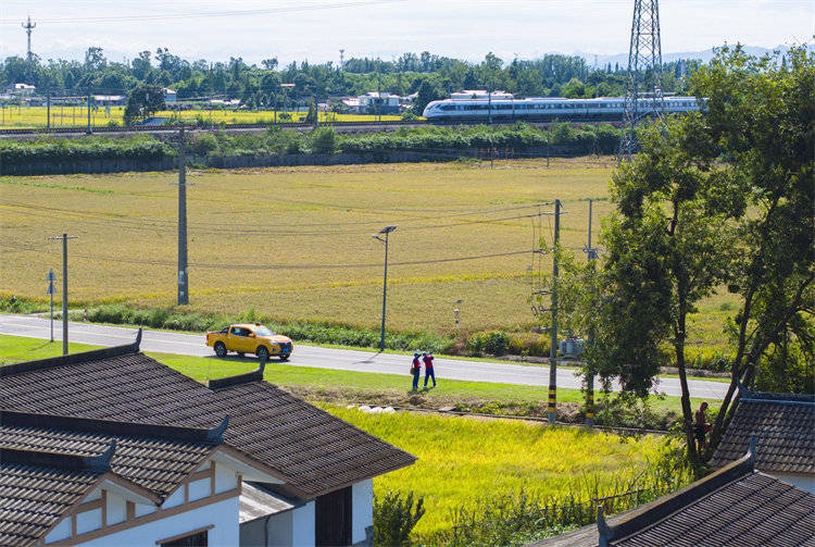 阖家团圆时<strong></p>
<p>风险低的理财</strong>,他们守护蓉城灯火