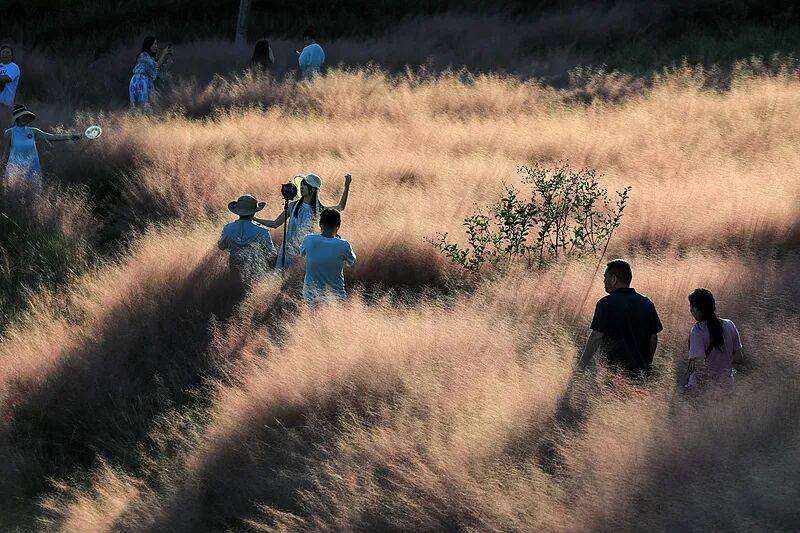 打卡拍照<strong></p>
<p>风险低的理财</strong>，再美也不能用生命对焦