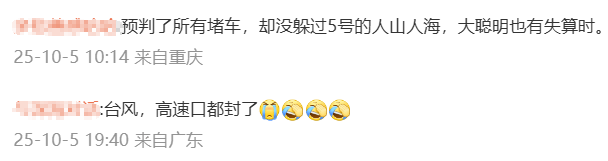 神预判<strong></p>
<p>风险低的理财</strong>!第一波返程的“聪明人”在高速上精准相遇