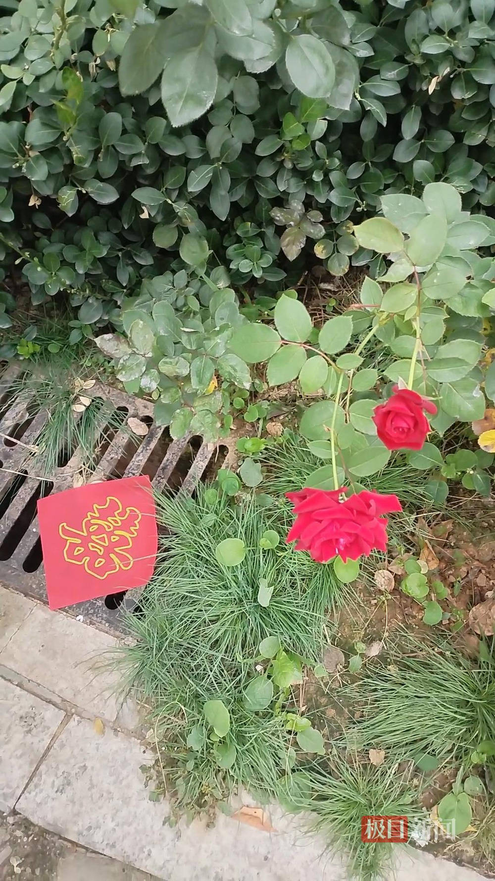 山西婚礼要在下水道井盖贴“喜”字?有的井盖被贴了8张<strong></p>
<p>风险低的理财</strong>,当地居民:寓意不踩坑、驱晦迎喜