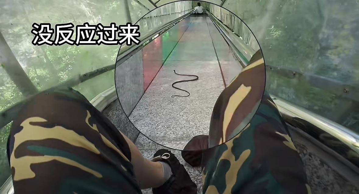 游客称在广西丹炉山滑道遇蛇<strong></p>
<p>券商理财产品</strong>,景区致歉:这么多年就这一次,每年都做防蛇处理