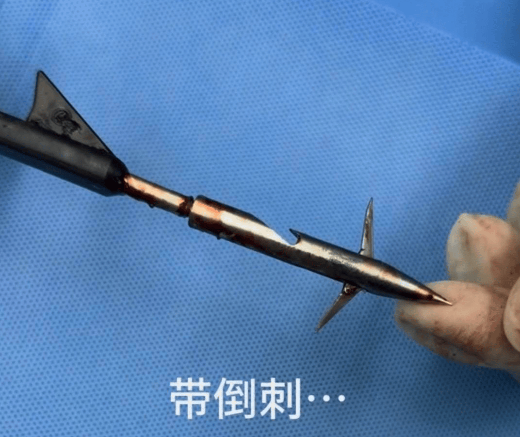 教育局回应“一教师用弓箭射杀小狗”:不实<strong></p>
<p>p2p网贷理财</strong>,小狗进学校前就被射伤