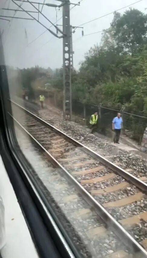 湖北一列车撞上野猪致停运<strong></p>
<p>p2p网贷理财</strong>,铁路局:野猪已无害化处理,列车正常运行;附近曾发生多起野猪伤人事件