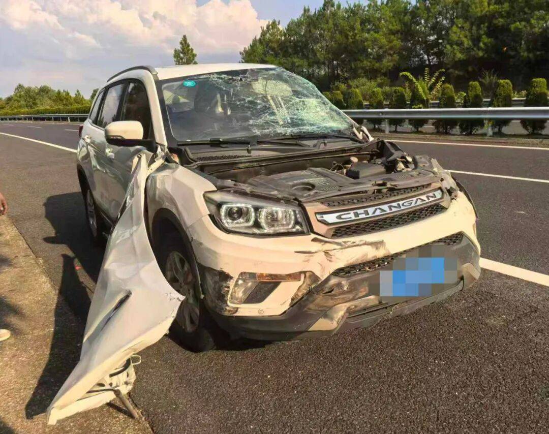 “我撒谎天打雷劈！”男子高速突然强行变道致翻车<strong></p>
<p>p2p网贷理财</strong>，反诬赖对方