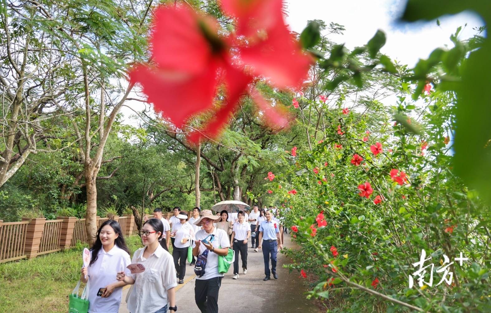 中山城建集团“连心桥”移交<strong></p>
<p>公募理财</strong>,村企共建绘就桂南新画卷