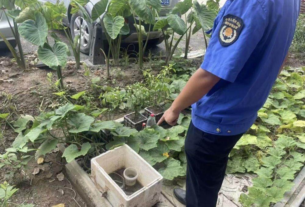 广州番禺公布一批“两热”典型违法案例，8月至今共处罚1059宗