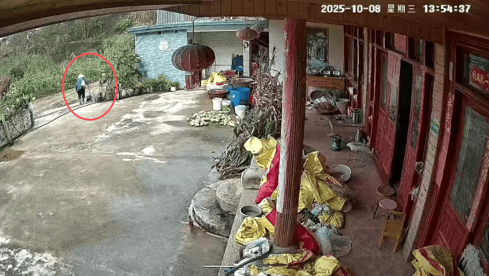 93岁老人进山失联<strong></p>
<p>理财pdf</strong>,两天后发现他倒挂在树杈上苦撑……