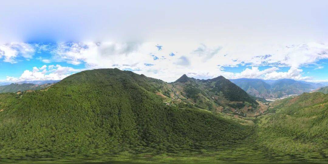 93岁老人进山失联<strong></p>
<p>理财pdf</strong>,两天后发现他倒挂在树杈上苦撑……