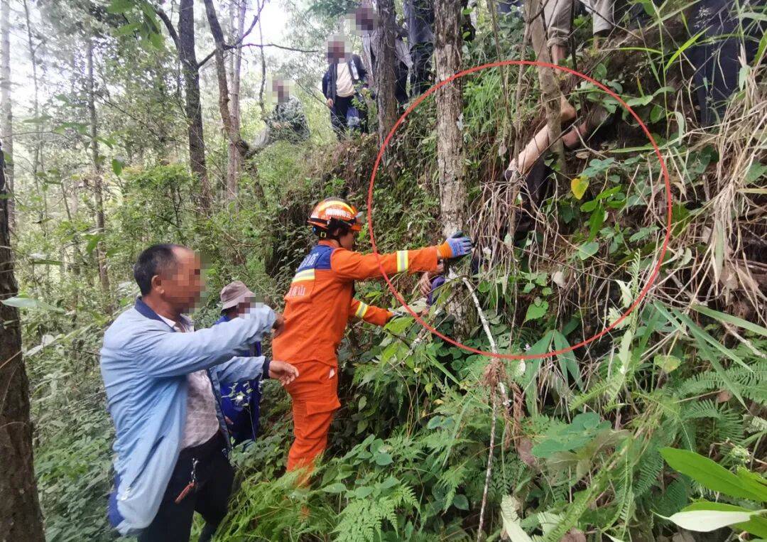 93岁老人进山失联<strong></p>
<p>理财pdf</strong>,两天后发现他倒挂在树杈上苦撑……
