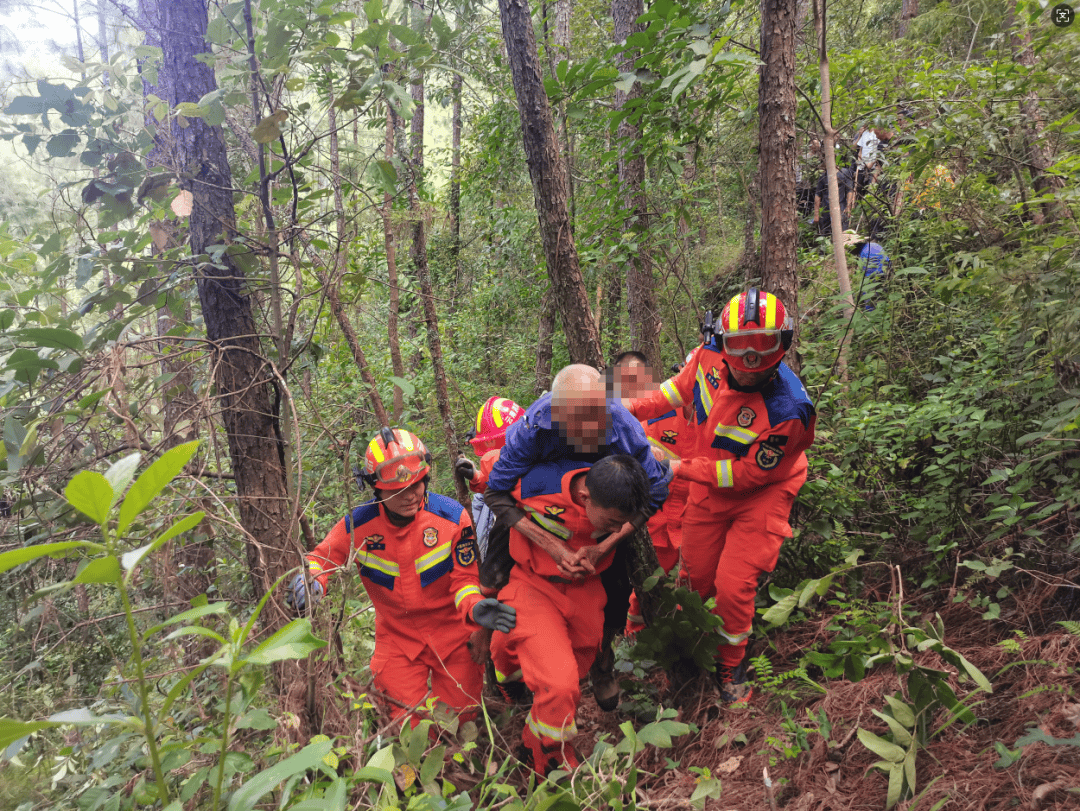 93岁老人进山失联<strong></p>
<p>理财pdf</strong>,两天后发现他倒挂在树杈上苦撑……